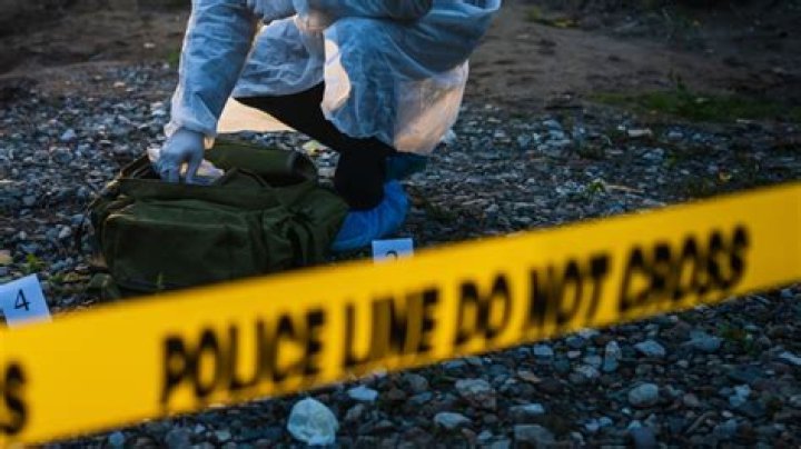 Peter Nero Net Worth At The Time of Death