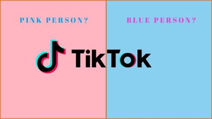 ‘Pink person’ and ‘blue person’ TikTok trend, explained