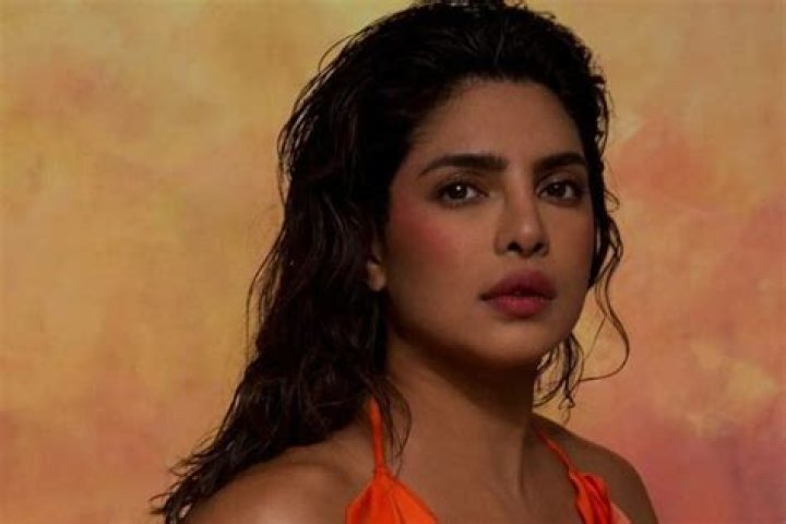 Priyanka Chopra Talks Meeting Up And Relationship With Nick Jonas’ Brother Joe And His Wife Sophie Turner!