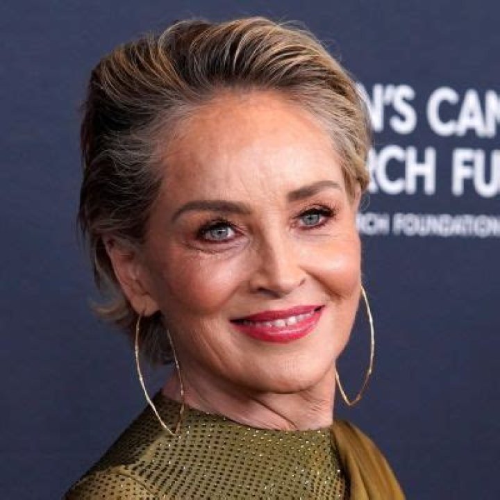 Sharon Stone Net Worth: How Rich Is She? Explore Her Career And Achievements