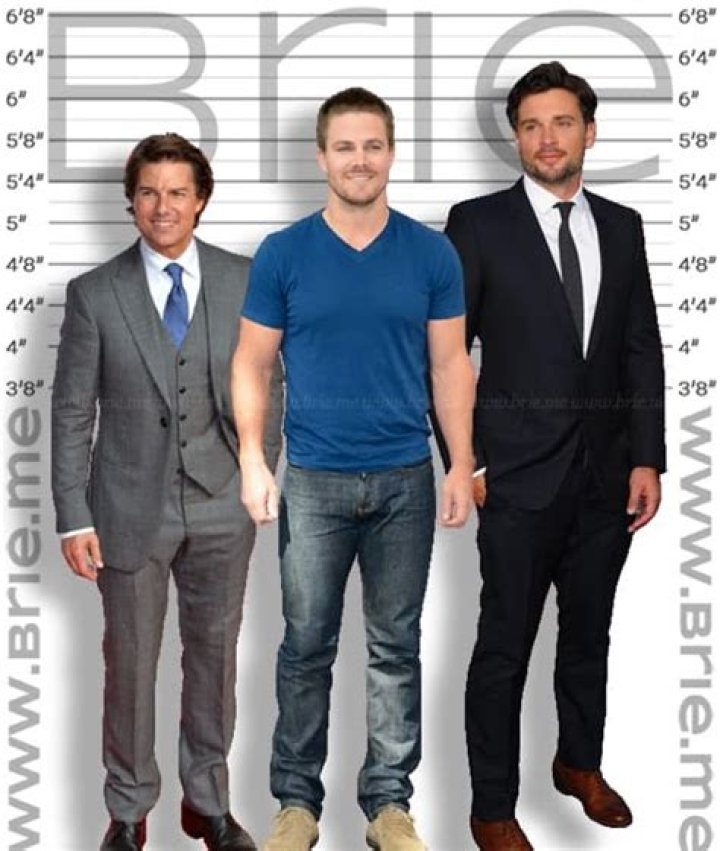 Stephen Amell Body Measurements Height Weight Shoe Biceps Abs Size Vital Stats