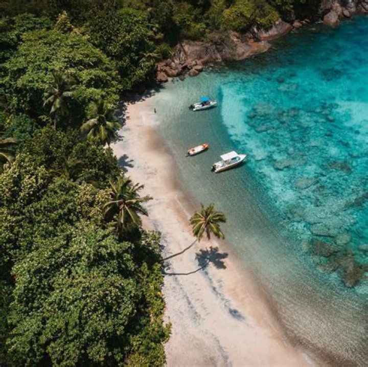 Dr. Suketu Patel, MD – Statesboro, GA