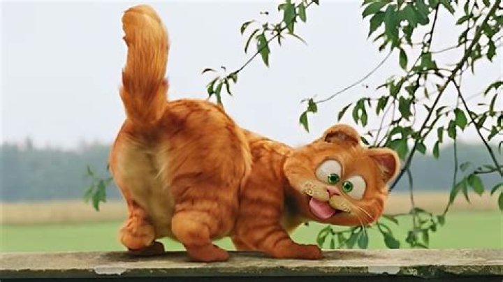 The 10 best Garfield movies, TV shows, specials, and where to watch them