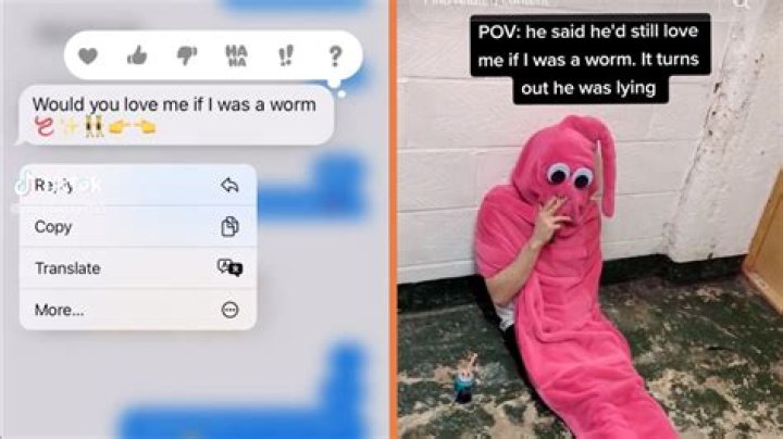 The ‘would you still love me if I was a worm’ meme and original tweet, explained