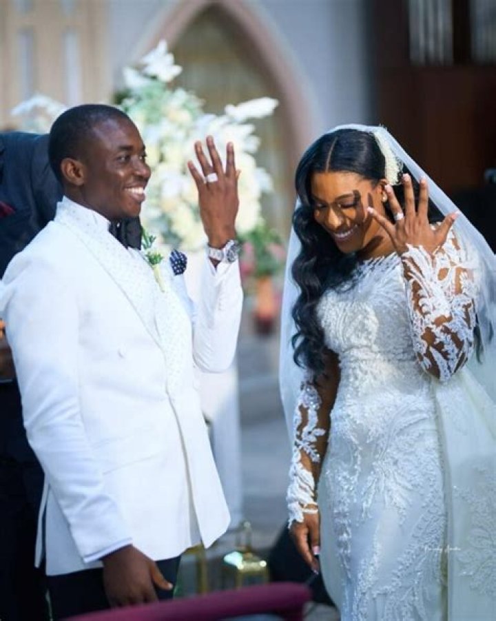 Theophilus Adeleke Akinyele’s biography, net worth, fact, career, awards and life story