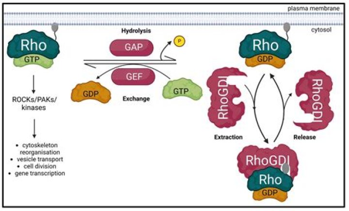Tiny Harris Refused To Be On RHOA After Getting An Offer – Here’s Why!