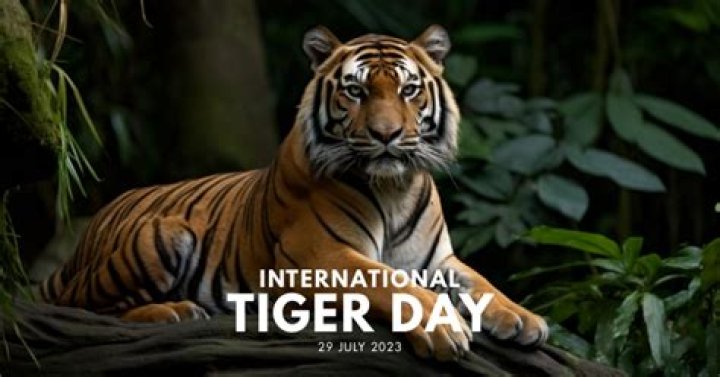 Was the Tiger Real in Jungle Cruise? – Celebrity