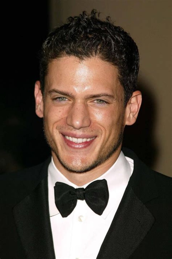 Wentworth Miller Biography - Facts, Childhood, Family Life & Achievements