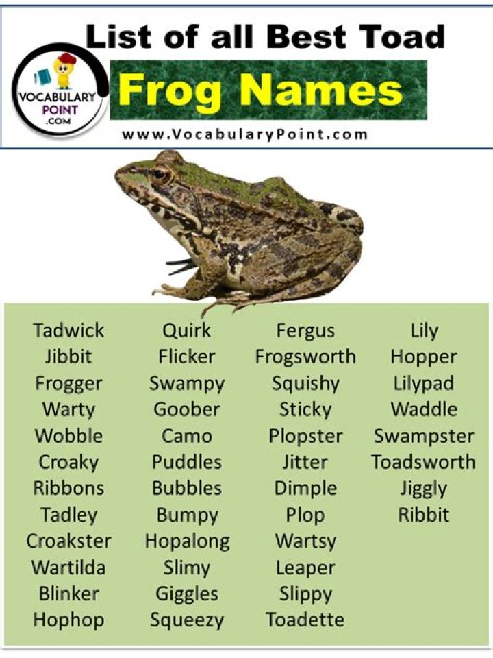 What are some toad names? – Celebrity