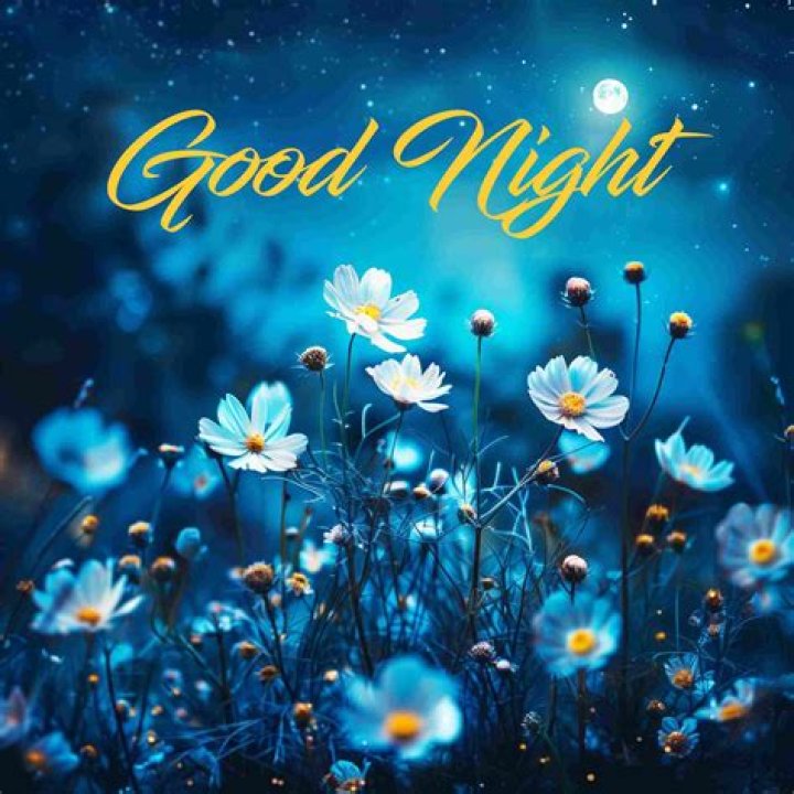 What did Vernita Lee do for a living?