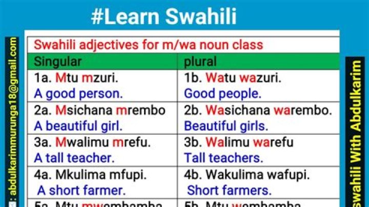 What does Kion mean in Swahili? – Celebrity