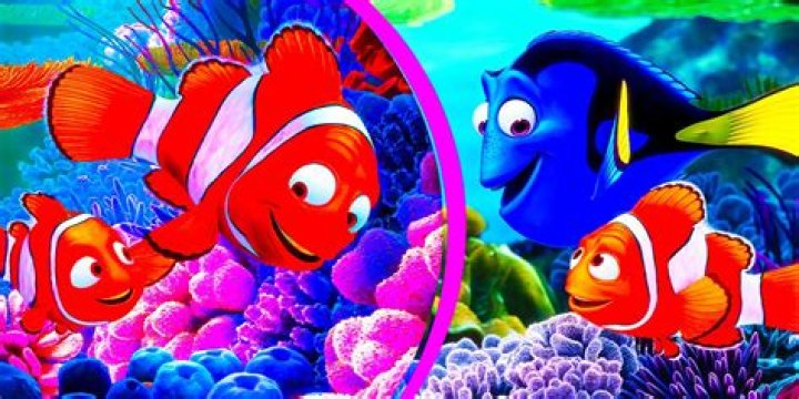 What does the goggles say in Finding Nemo? – Celebrity