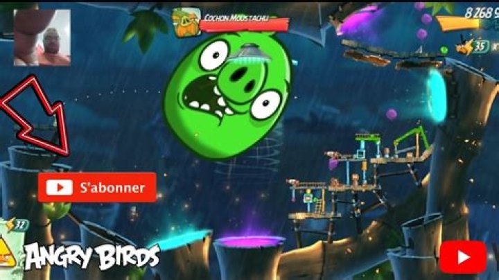 What does the Orange Bird do in Angry birds? – Celebrity