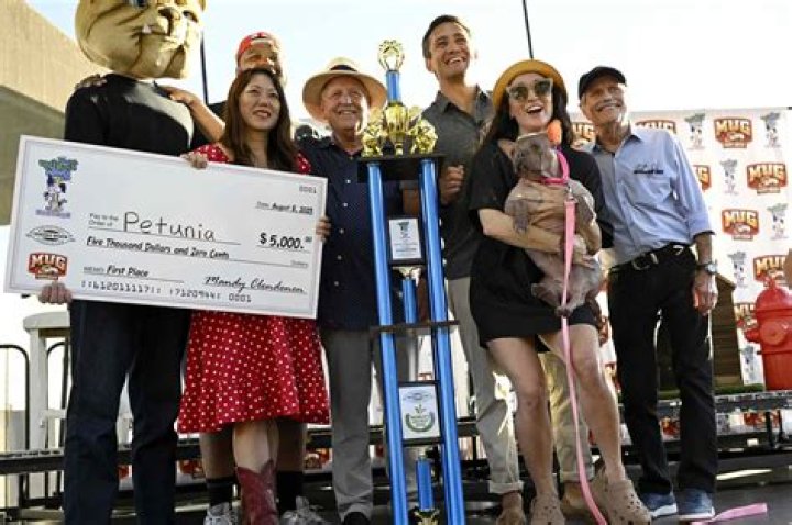 What happened to John Mulaney’s dog Petunia? The latest news, explained