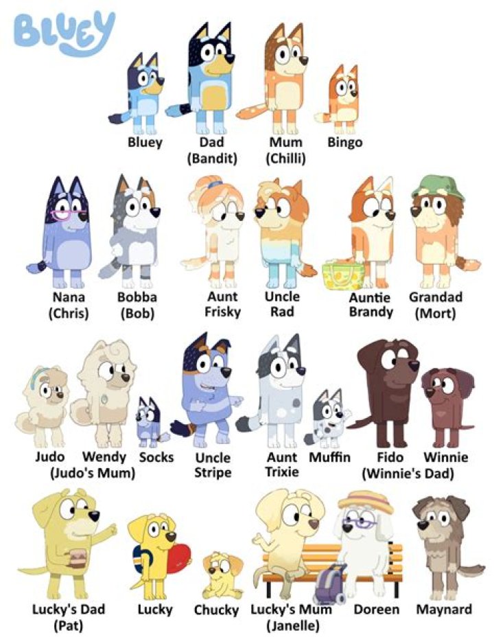 What Is Blueys Moms Job? – Celebrity