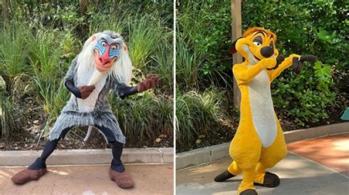 What is on Rafiki stick? – Celebrity