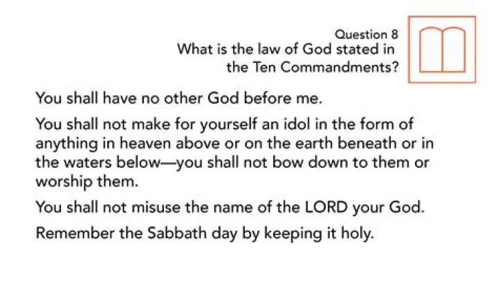 What is the law of the pack? – Celebrity