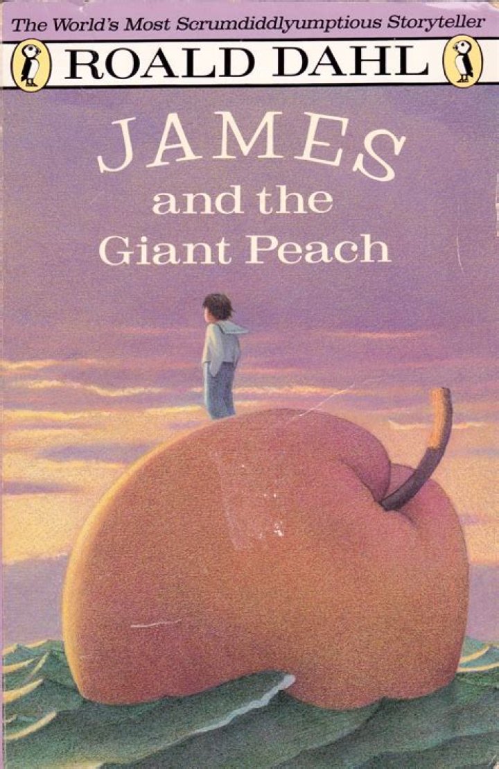 What is the summary of James and the Giant Peach? – Celebrity