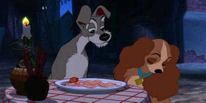 What is tramps name in Lady and the Tramp? – Celebrity