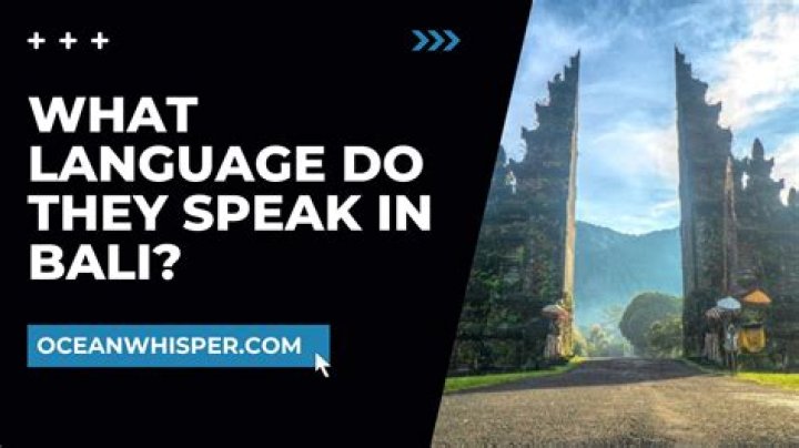 What language do they speak in lilyhammer