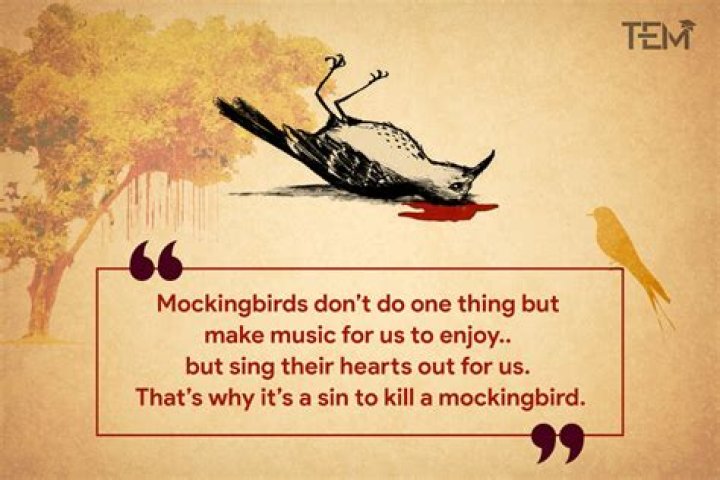 What Page Is The To Kill A Mockingbird Quote On? – Celebrity