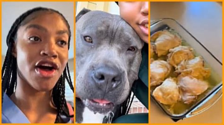 ‘When did the dog get employed?’: Hungry nurse comes home shocked to find her dog is eating better than her