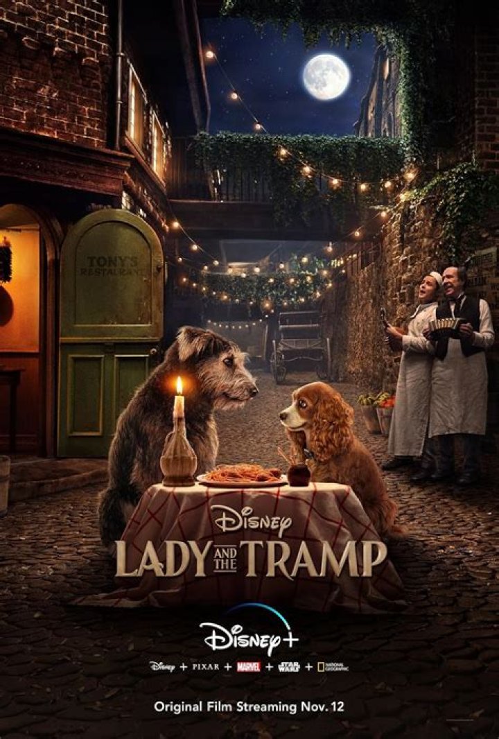 Where does Lady and the Tramp take place 1955? – Celebrity