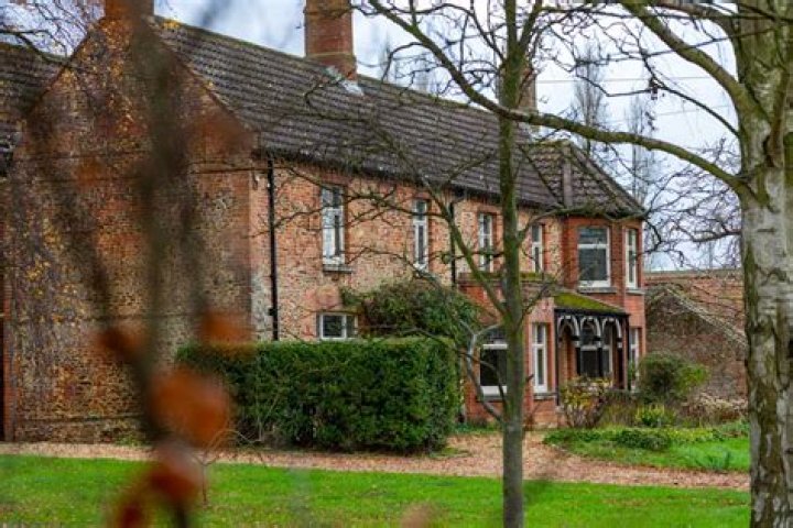 Where is Andrew Stanton? – Celebrity