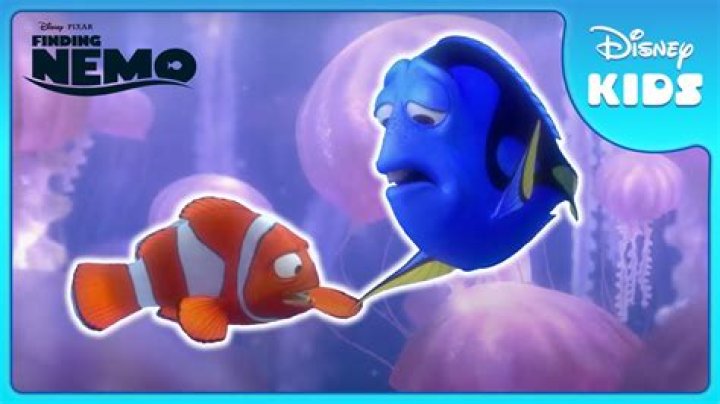 Where is Marlin and Nemo’s home? – Celebrity