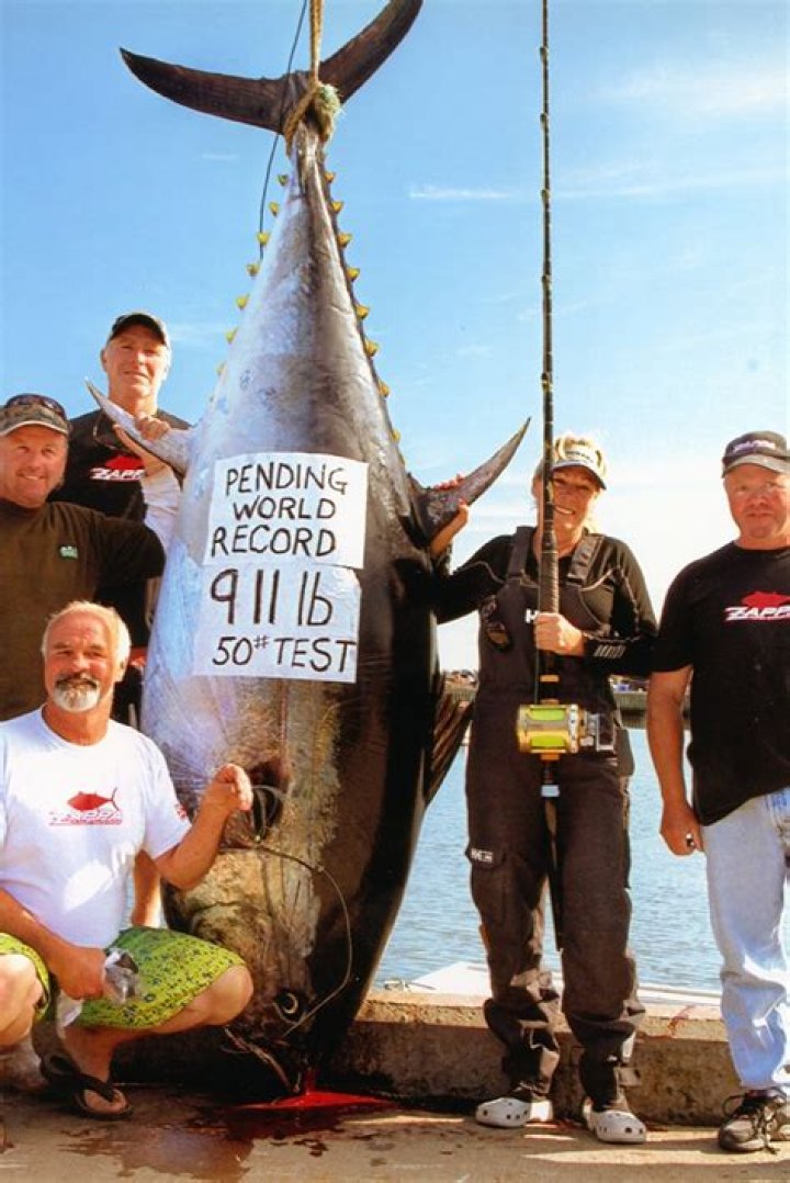 Who Has Caught The Biggest Tuna On Wicked Tuna? – Celebrity