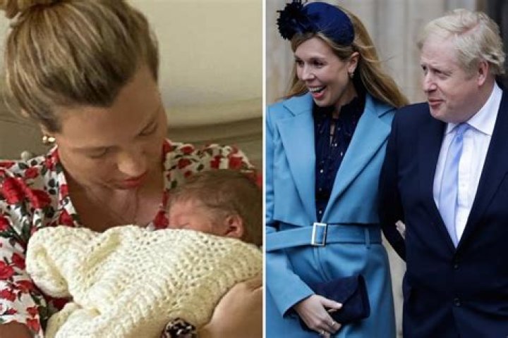 Who is Boris Johnson son Wilfred Lawrie Nicholas Johnson and his mother?