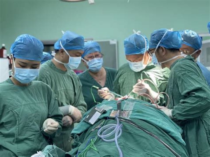 Who Is Katie Teo? Everything On Neurosurgeon Dr Charlie Teo