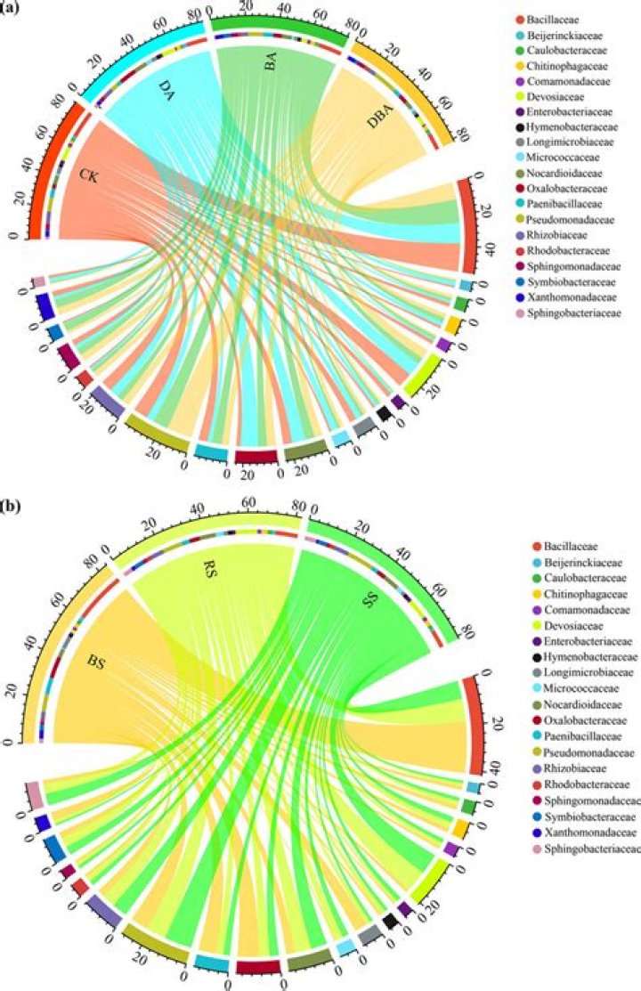 Who Is Myko Olivier? Details About The Wikipedia And Age Of The Popular Actor From Glee