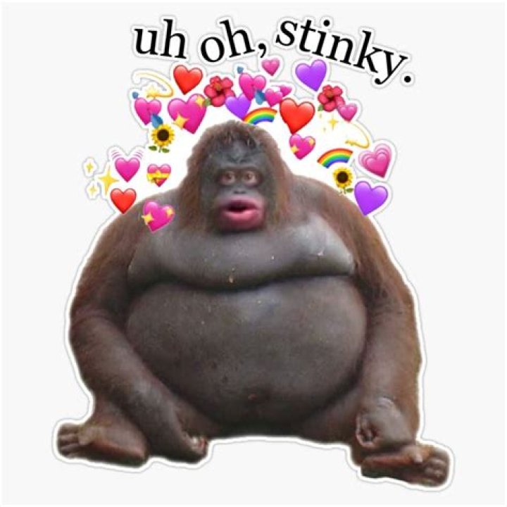 Who is Stinky the character? – Celebrity