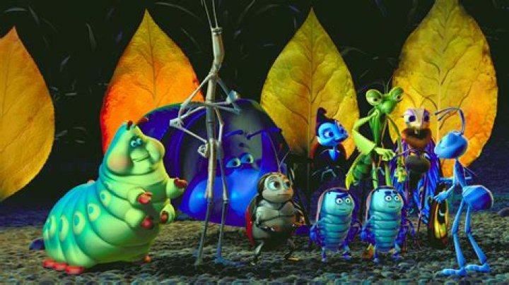 Who is the Princess in a bugs Life? – Celebrity