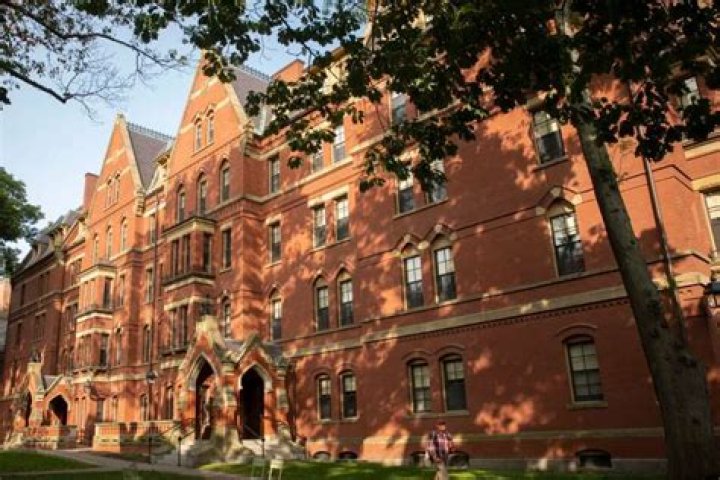 Who Was Luke Balstad? & Luke Balst Cause Of Death, Harvard University Student , Age, Funeral & Obituary!