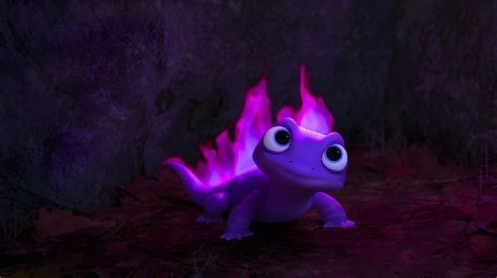 Why is the fire spirit a lizard in Frozen 2? – Celebrity