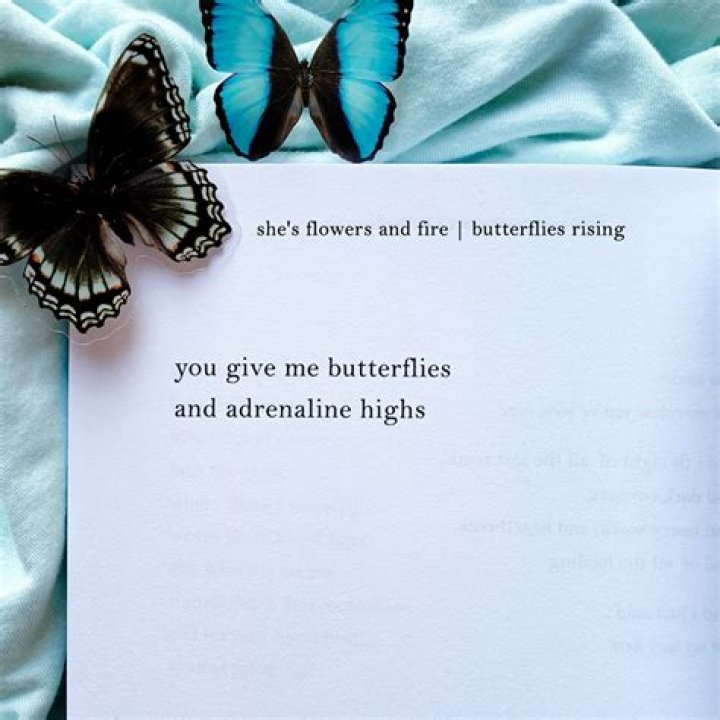 ‘You Give Me Butterflies’ TikTok Song and Lyrics Explained: Amo A Mis