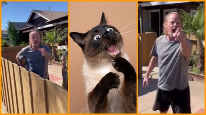 ‘You’re a cat pervert!’: Couple conjures wild claims to hide jealousy of their neighbor